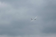 IMG_7324