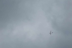 IMG_7331