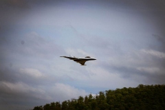 Jet-treffen-2023_230518-348
