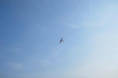 IMG_7470