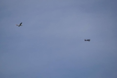 IMG_0296e