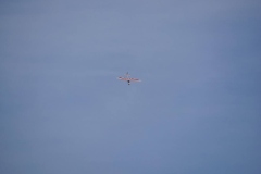 IMG_0296h
