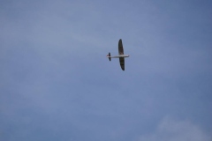 IMG_0296i