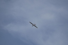 IMG_0296k