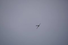 IMG_0296q