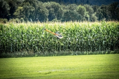 Freundschaftsfliegen-2023_230805-360