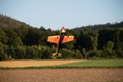 Freundschaftsfliegen_21-08-14-128