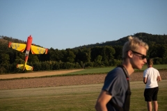 Freundschaftsfliegen_21-08-14-131