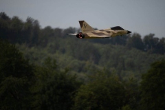 Freundschaftsfliegen_21-08-15-150