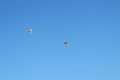 IMG_7795