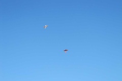 IMG_7796