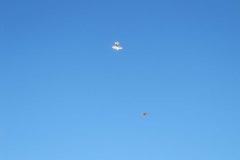 IMG_7797