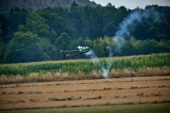 Freundschaftsfliegen_220730-23